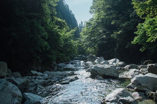尾白川生态守护