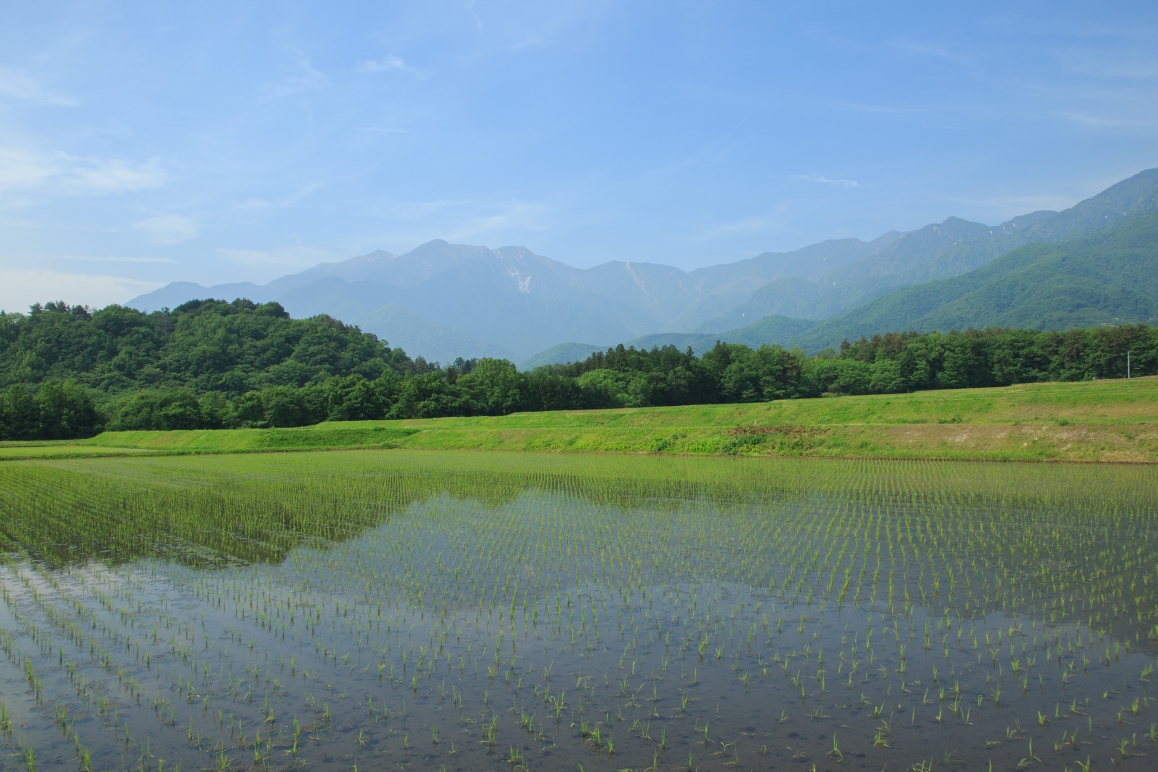 水与米的协奏曲