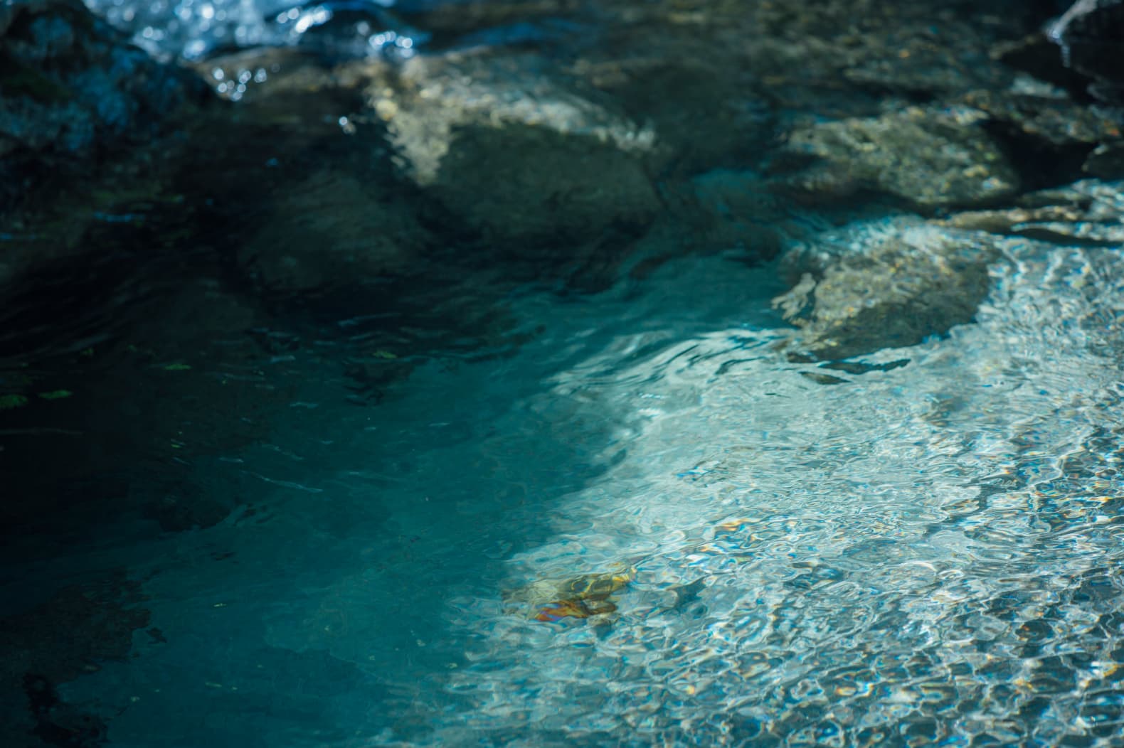 走出酒藏,探寻名水之源