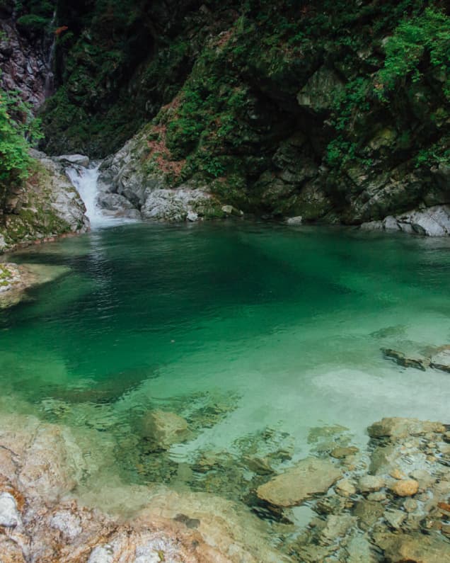 尾白川溪谷 千渊