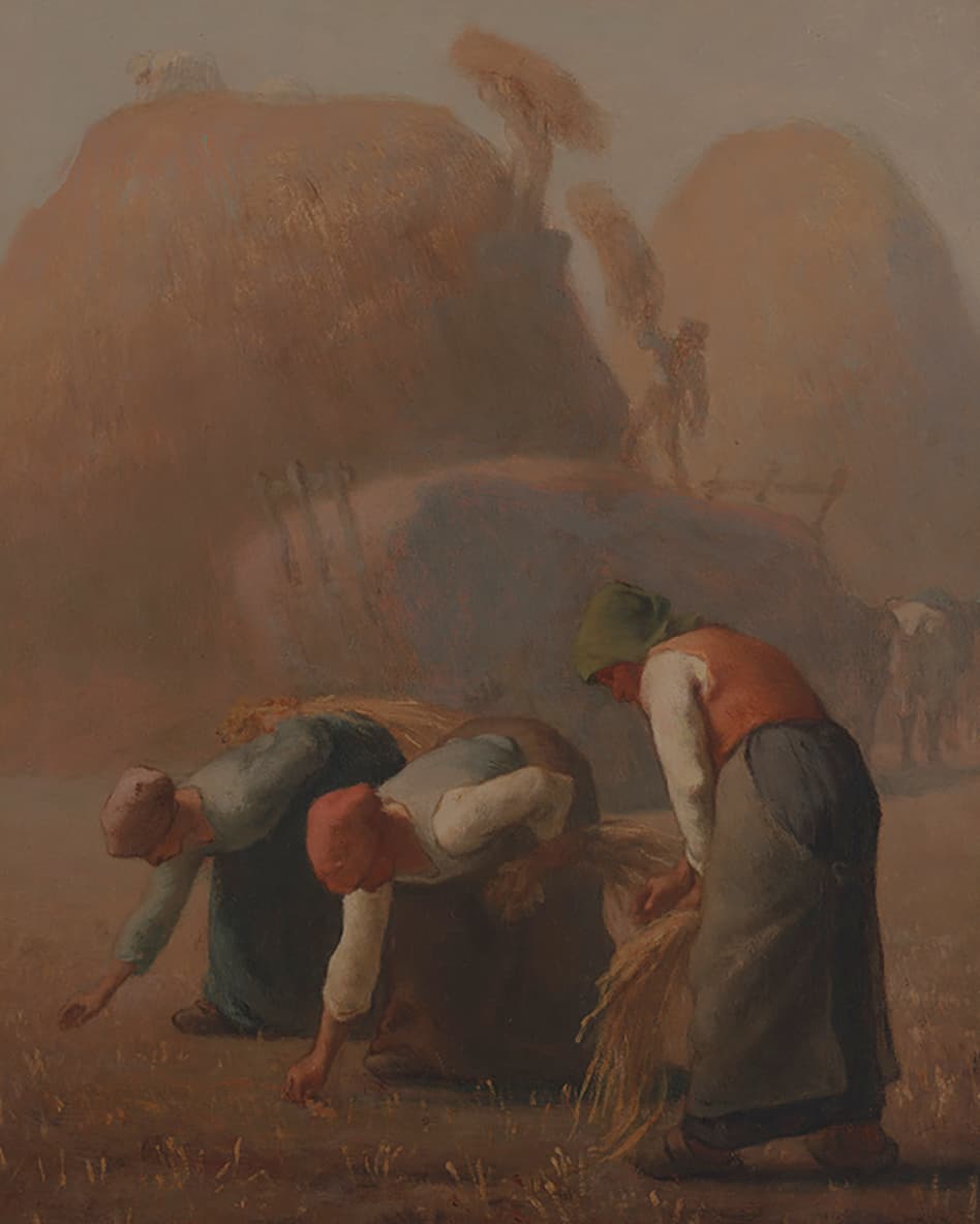 七贤气泡酒 EXPRESSION 2012